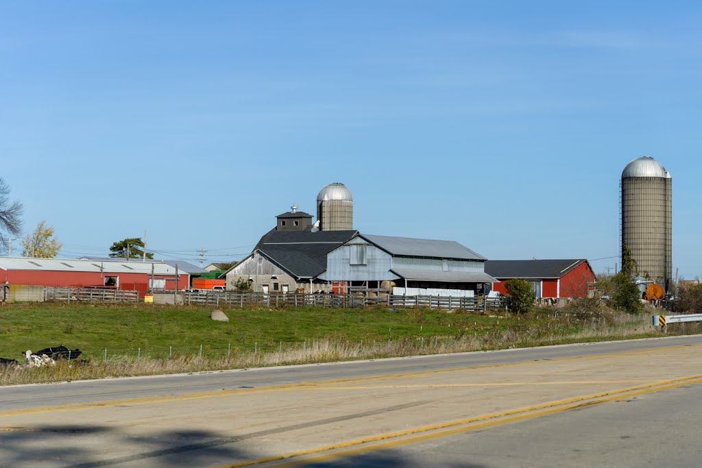 Country farm with silos, Белвидер