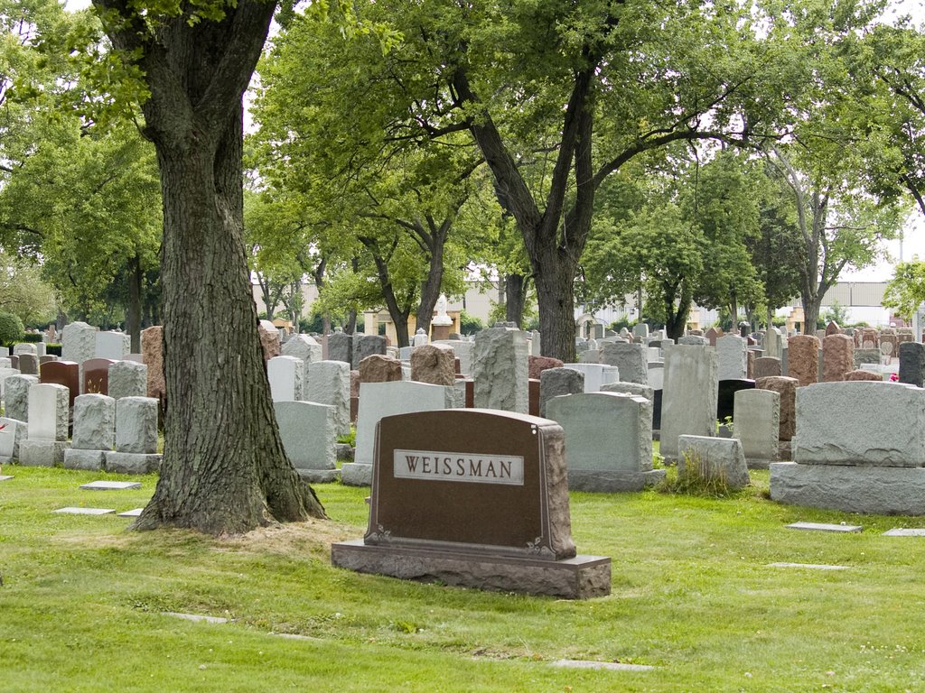 A Jewish Cemetery in Forest Park, IL, Бервин