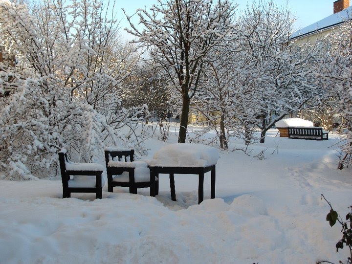 La nieve en Des Plaines., Дес-Плайнс