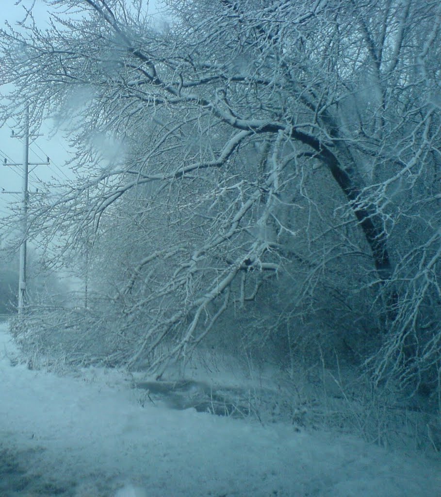 Bad winter storm in February 2012., Дес-Плайнс