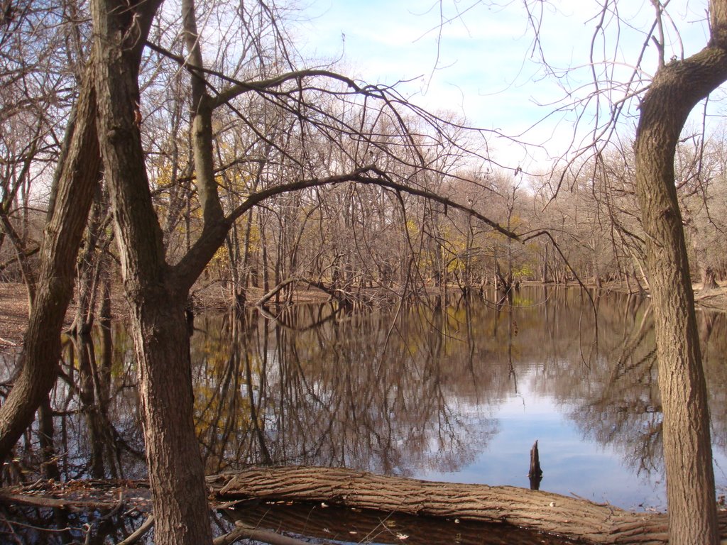 water body in the forest preserve, Елмвуд Парк