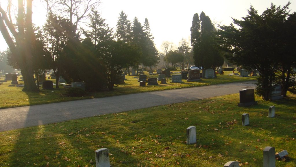 elmwood cemetery, Елмвуд Парк