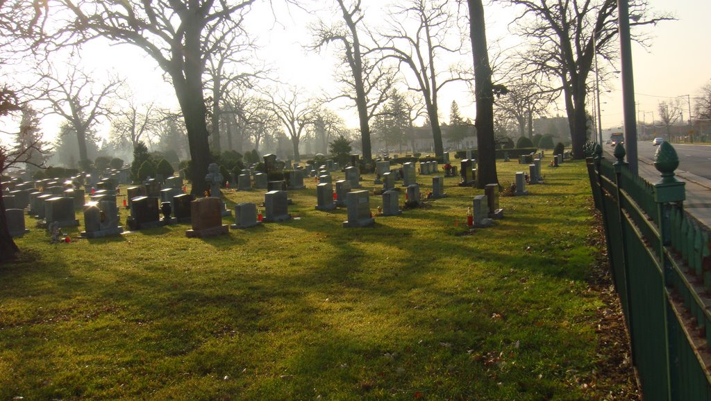 elmwood cemetery, Елмвуд Парк