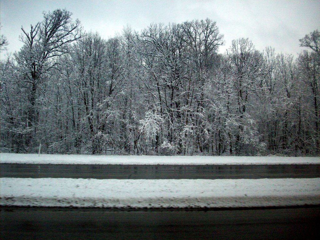 Long Winter - February 2008, Елмхурст