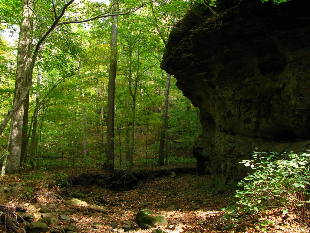 Shawnee National Forest, Зейглер