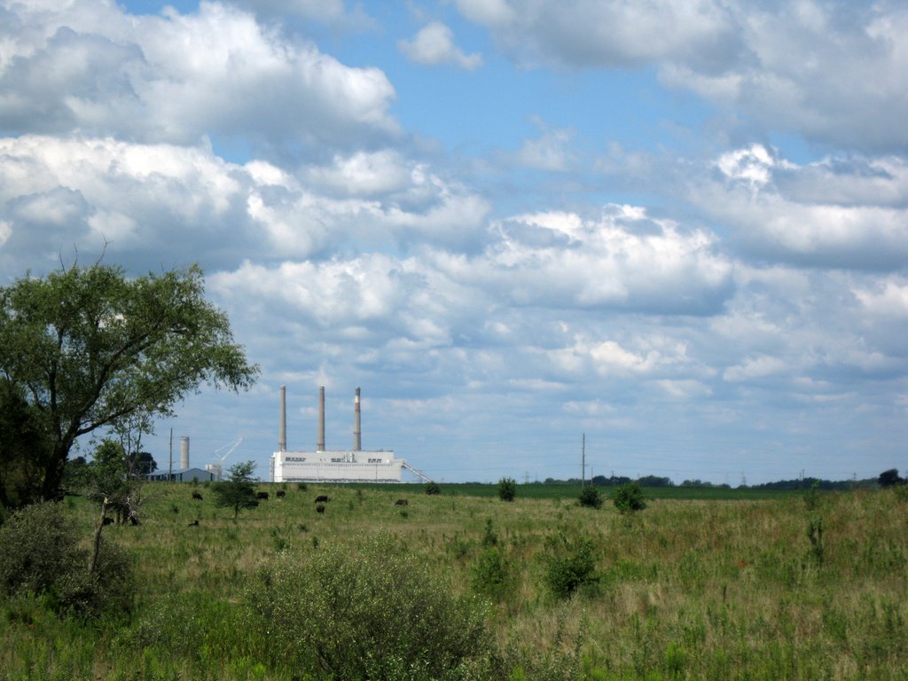 Baldwin Power Plant, Зейглер
