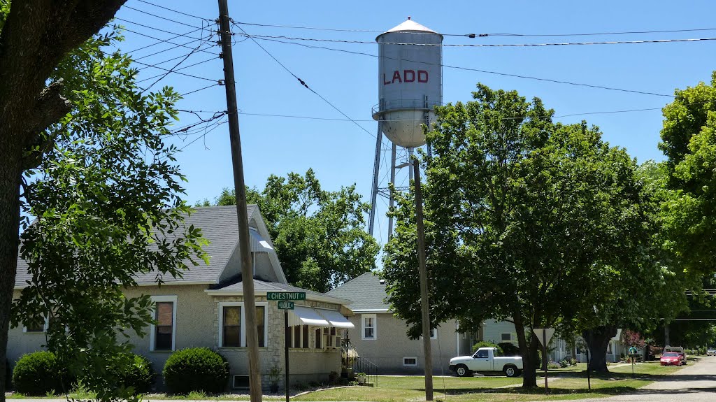 Ladd Illinois old water tower, Кантон