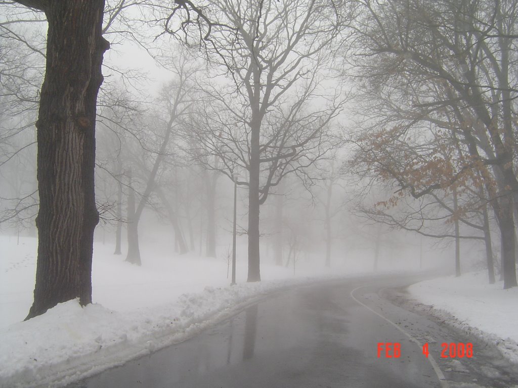 Rainny day, foggy day, snowy day and Monday!, Кантон