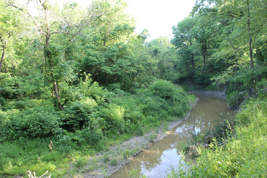 Creek by Hospital, Линвуд