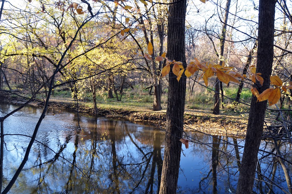 - Autumn Colors - Chicago River (North branch) in St Paul Wood / Morton Grove, Мортон Гров
