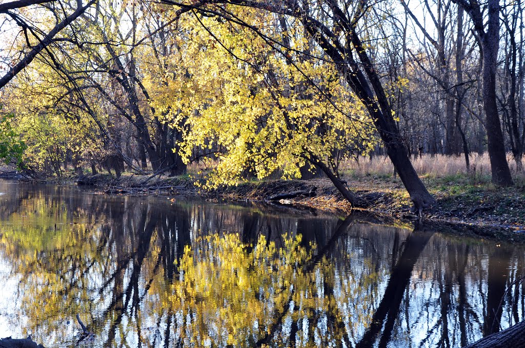 Chicago River (North branch) in St Paul Wood - Autumn Colors, Мортон Гров
