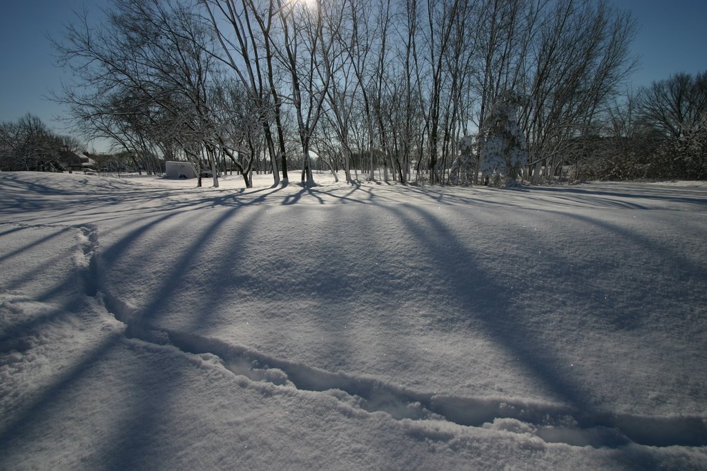 Tracks in the snow, Палатин