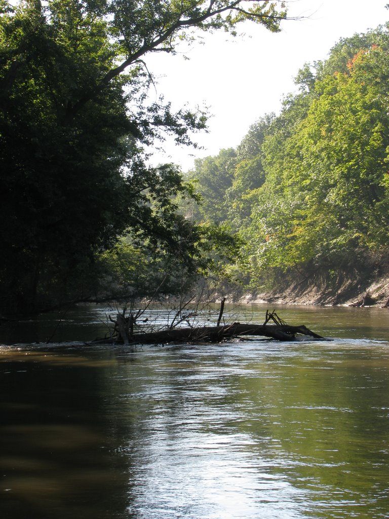 Sangamon River, Ривертон