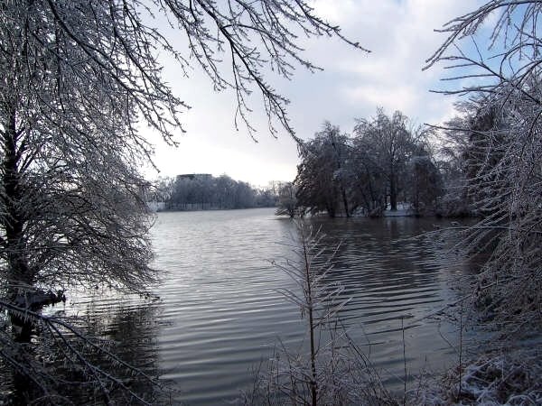 Cougar Lake after an ice storm, Саут-Роксана