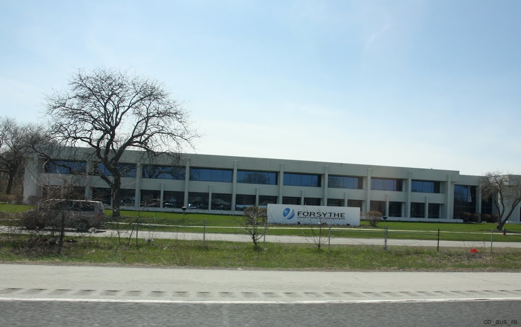 Forsythe Technology Inc, Skokie, Illinois, USA, Скоки