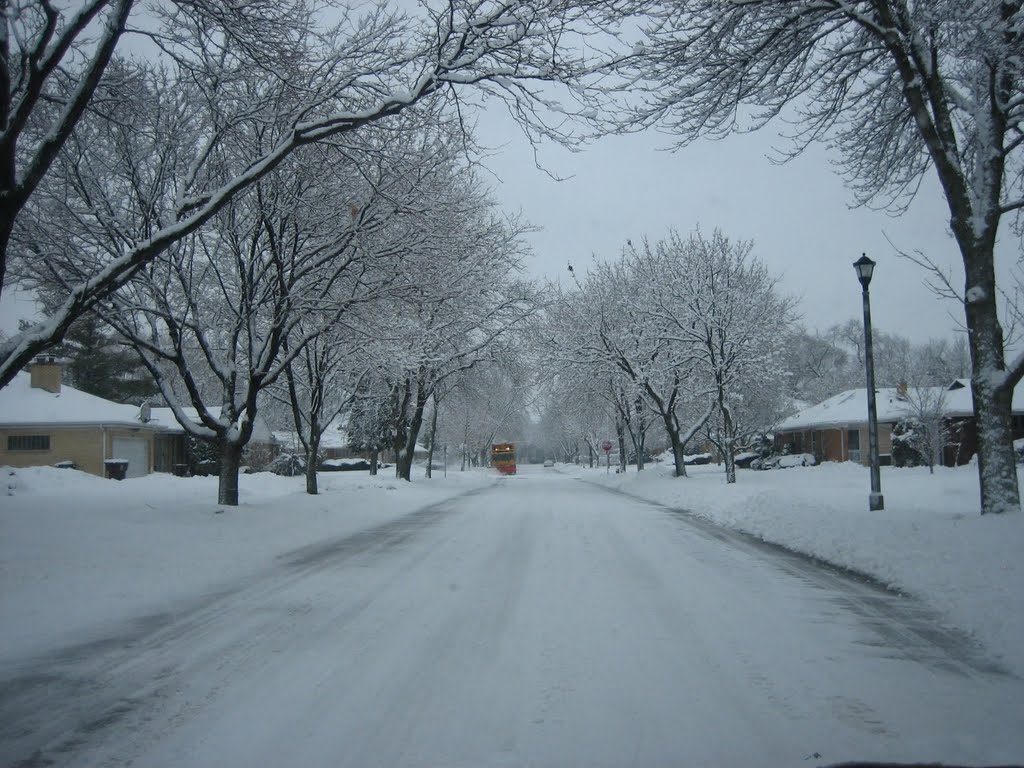 Snow Plow Skokie-Illinois, Скоки