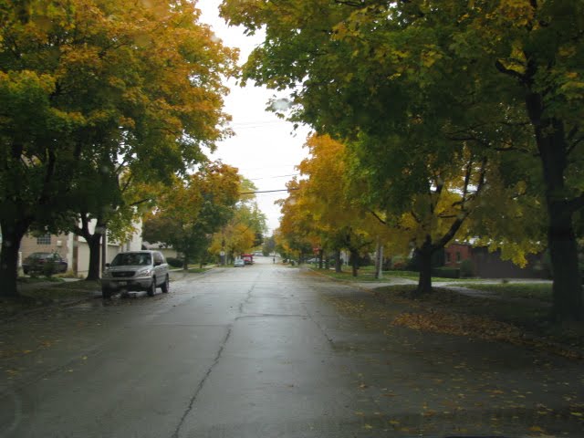 Skokie-IL-Fall(Outono), Скоки