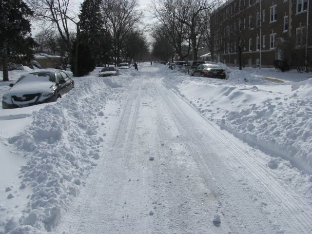 Skokie-IL-Blizzard 2011-This winter was very cold and a lot of snow!, Скоки