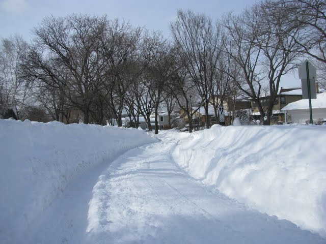 Skokie-IL-Winter 2011-Rua ao lado da minha casa,muito frio,muita neve., Скоки