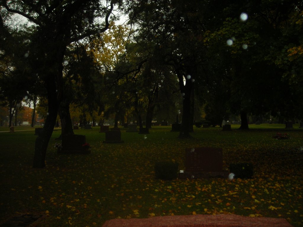 Cemetery 12, Стикни