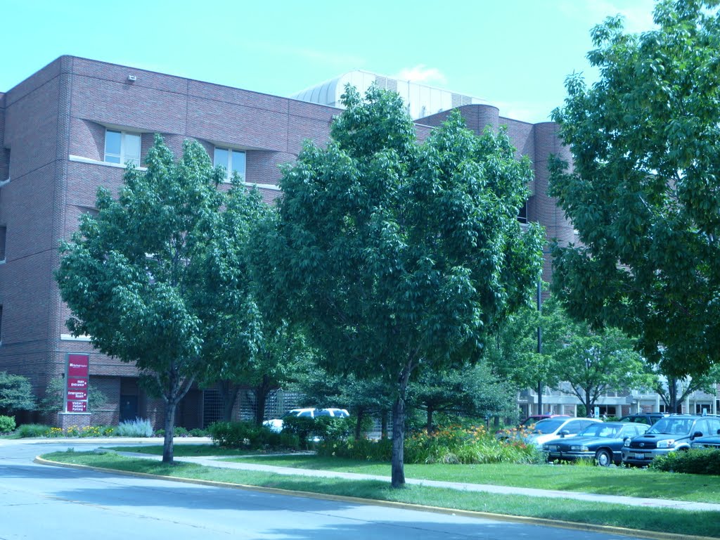MacNeal Hospital, Стикни
