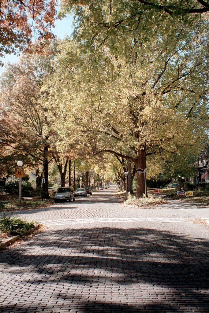 Nevada Street, Urbana, IL in Autumn, Урбана