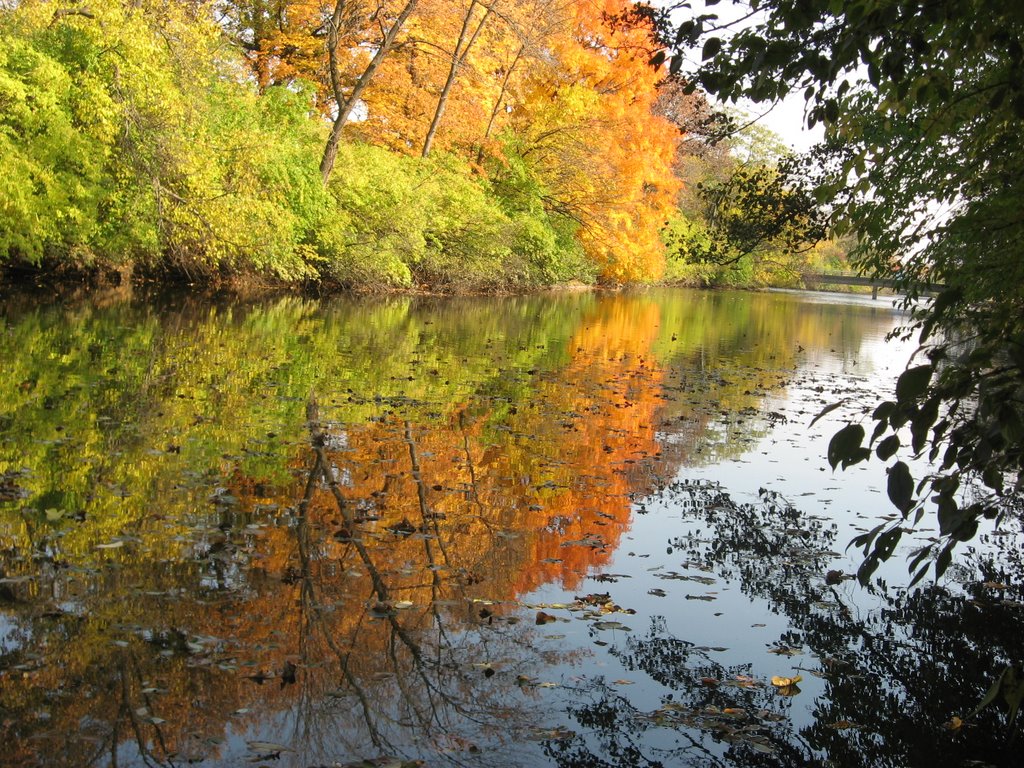 Autumn in Crystal Lake Park, Урбана