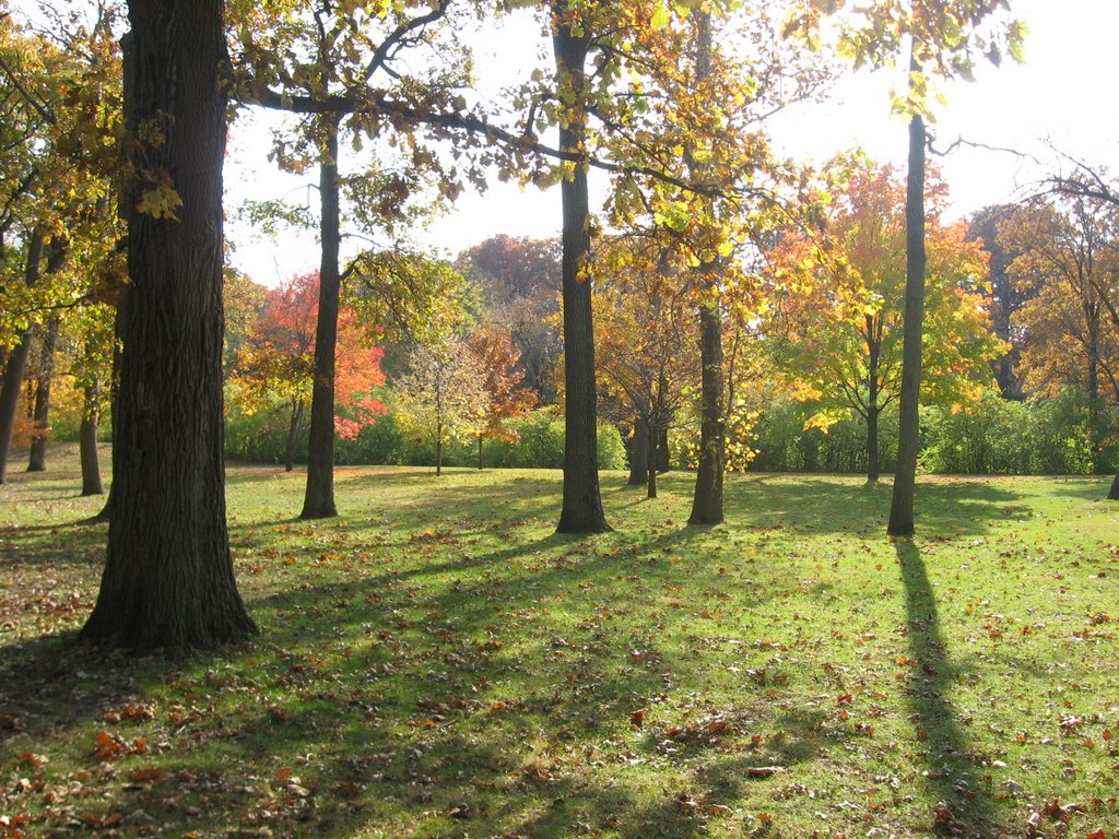 Autumn in Crystal Lake Park - Urbana, Illinois, Урбана