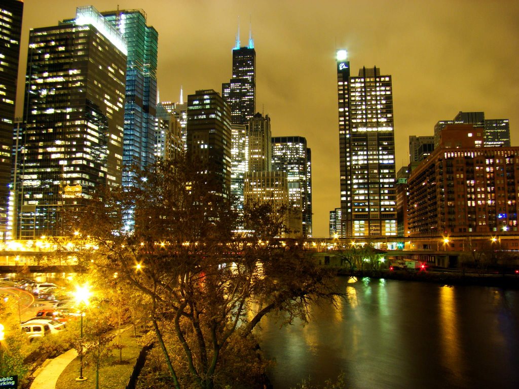 DSC09851 Chicago at Night - S view, Чикаго
