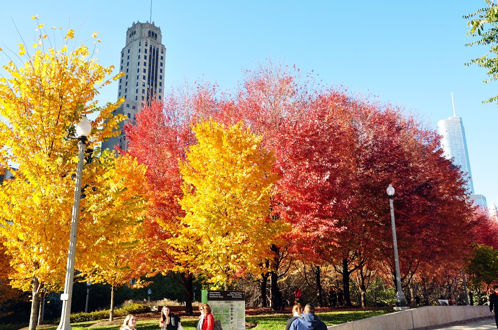 Millennium Park - Autumn colors, Чикаго