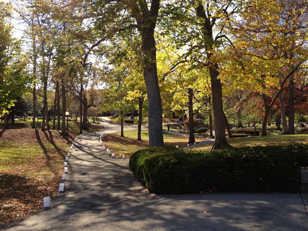 Beautiful autumn day on the Anderson University campus., Андерсон