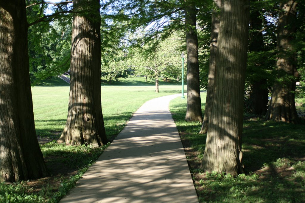 Tree walkway, Блумингтон