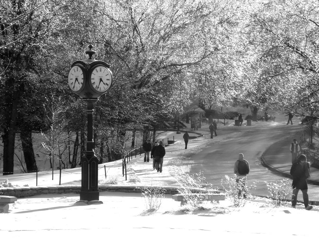 Indiana Universtiy in Winter, Блумингтон