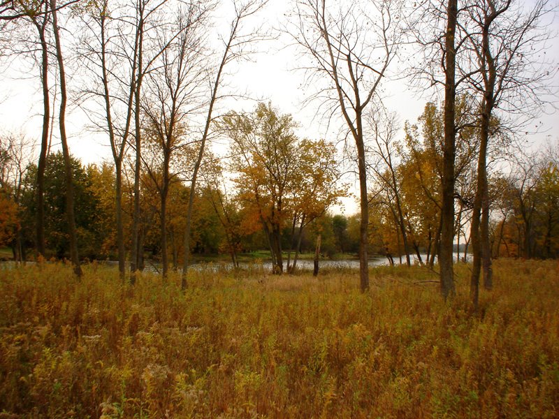 Des Plaines River as seen from Lockport Prairie, Брук