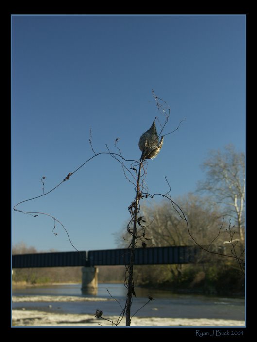 Shells on the Wabash River, Логанспорт