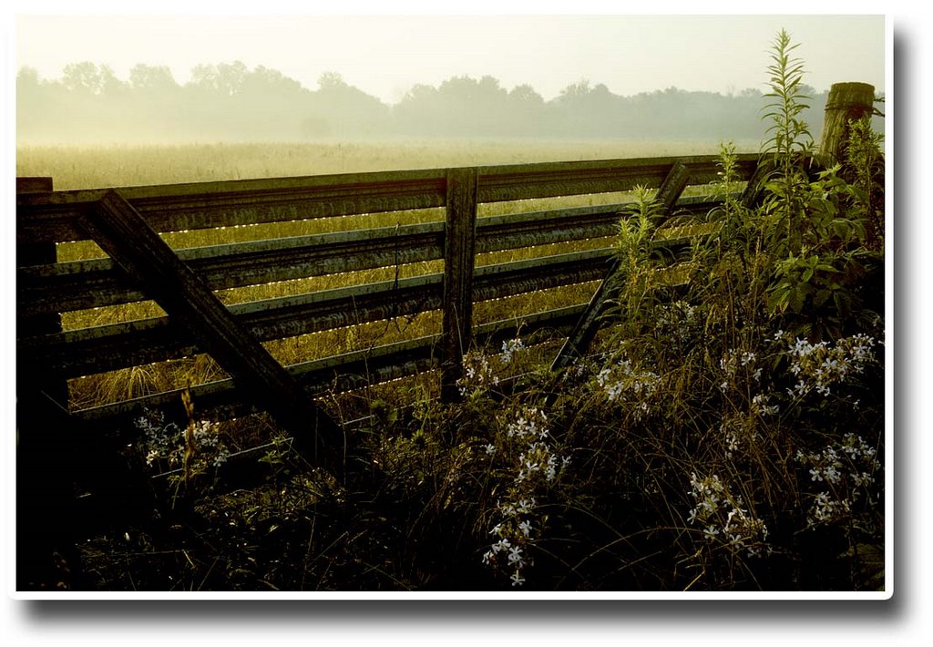 An early morning summer dew - 199007, Меридиан Хиллс