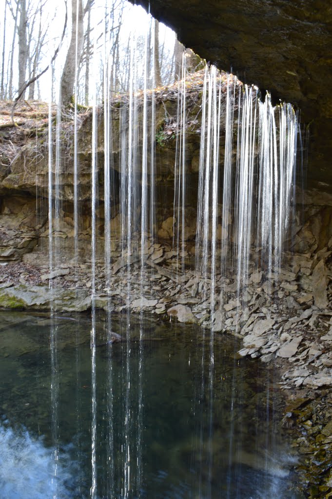 Waterfall Calli Nature Preserve, Норт-Вернон