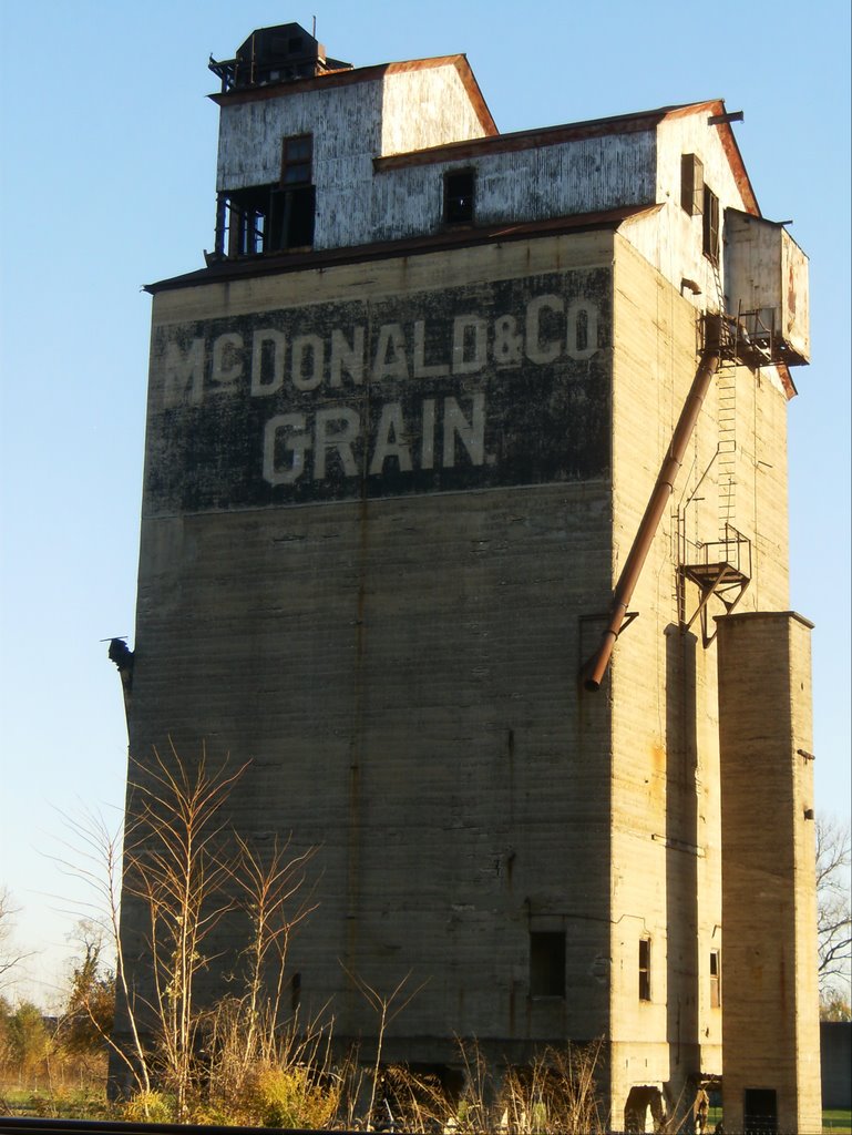 Mc Donald & Co. Grain, Нью-Олбани