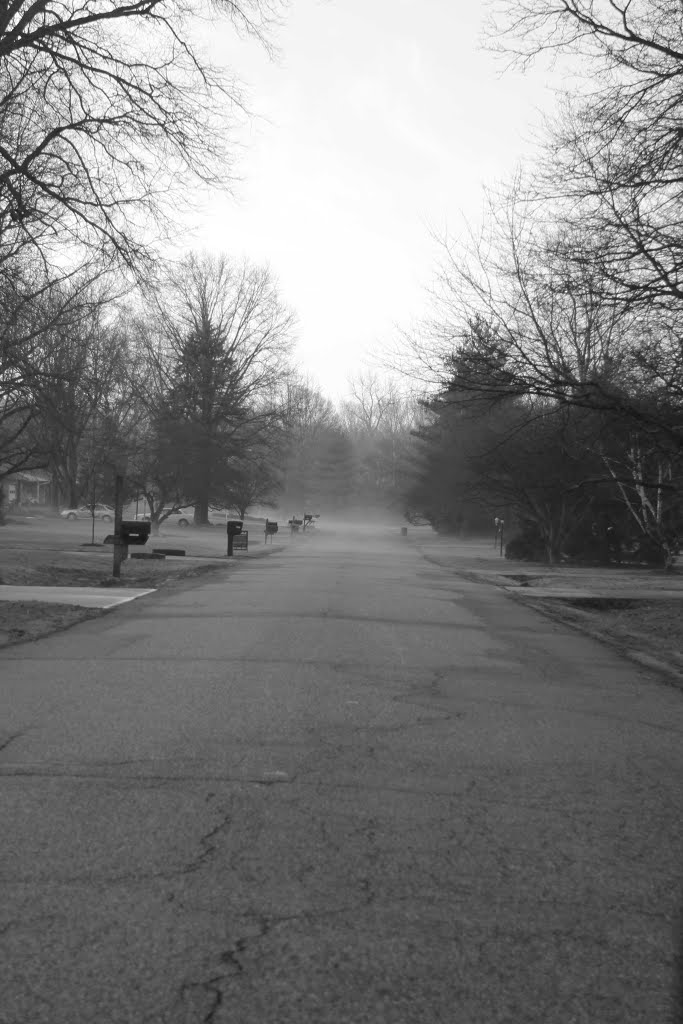 Meadowbrook Drive, Indianapolis, Indiana. 2012, Равенсвуд