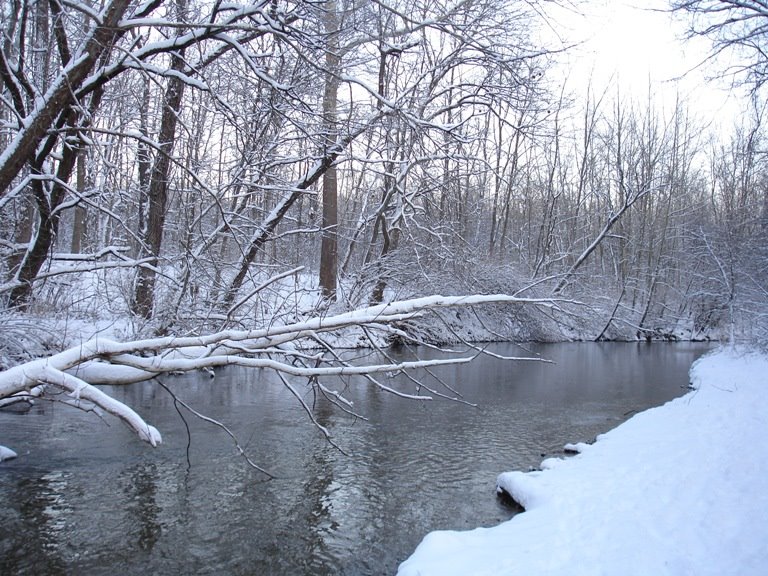 Williams Creek Winter 2007, Равенсвуд