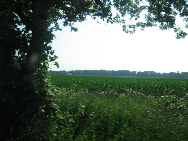 Corn Field In Indiana, Саут-Хейвен