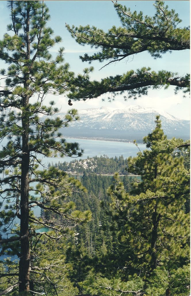 Lake Tahoe, Тахо