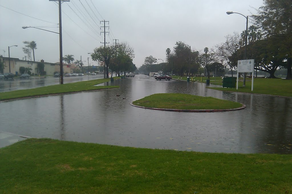 Flooding in Alondra Park Parking Lot, Алондра-Парк