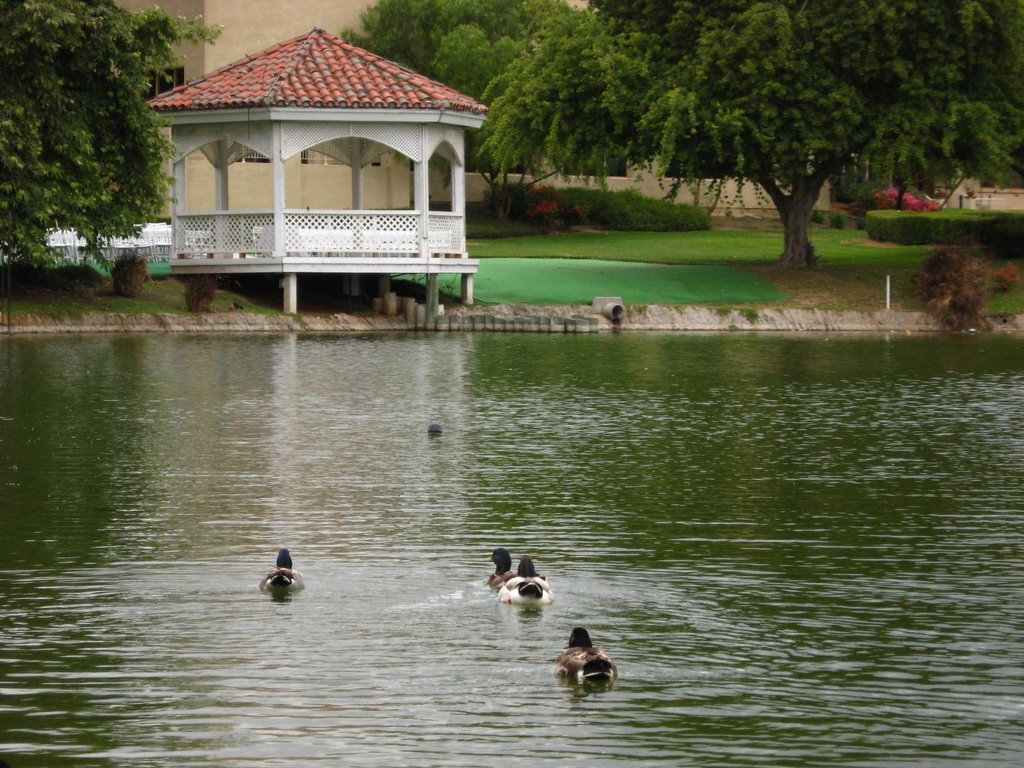 Almansor Parks pond, Альгамбра