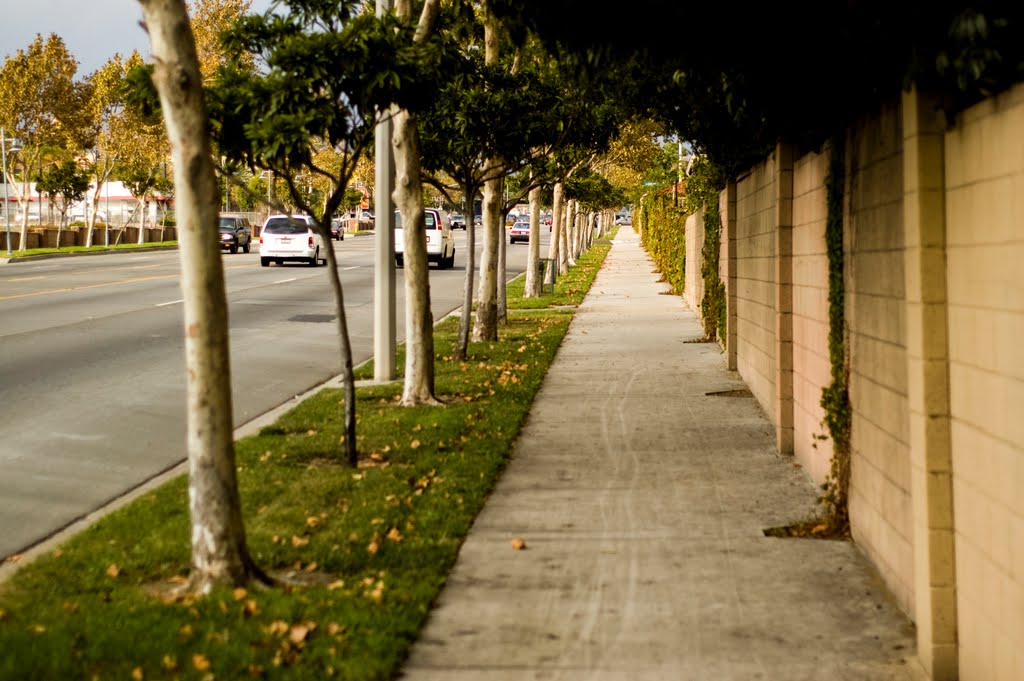 City Sidewalk and Trees, Апленд