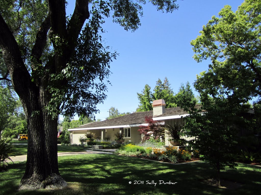 Shady trees, expansive lawns, and traditional homes make up Arden Park in Sacramento, CA, Арден