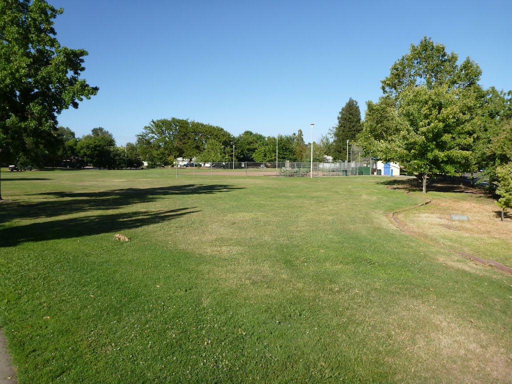 Baseball/open field at Crabtree Park, Арден
