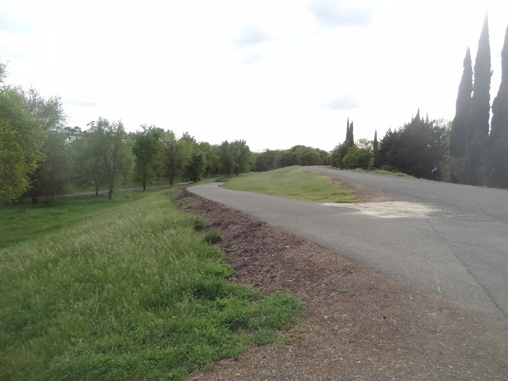 Paved Bike Access Ramp from the Levee (at right) to the main American River Bike Path (far left), Арден