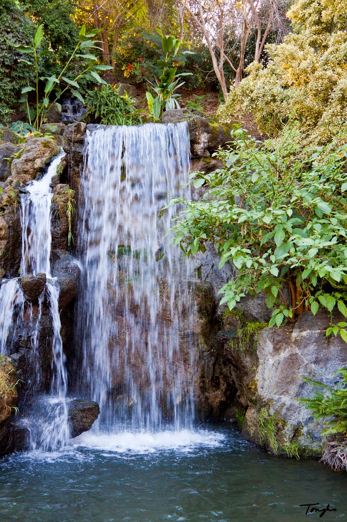 Meyberg Waterfall - LA County Arboretum, Аркадиа