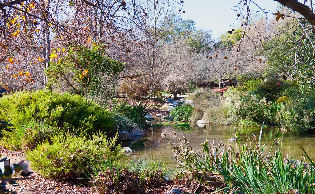 LA County Arboretum, Аркадиа